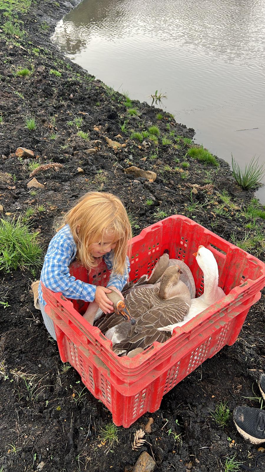 Trinity with a small toad