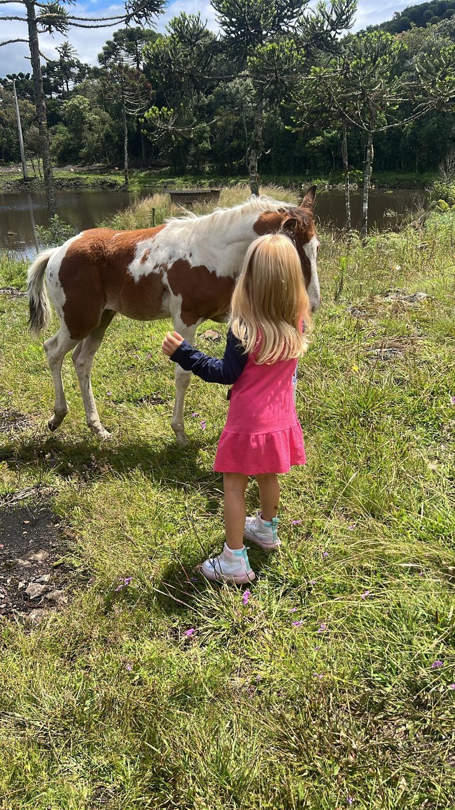 Trinity with wild horse in the field